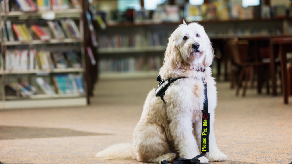 CGC, CGCA, and Therapy Dog Testing