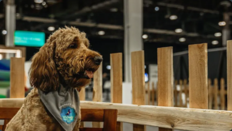 Image Credit: Michael's Angel Paws