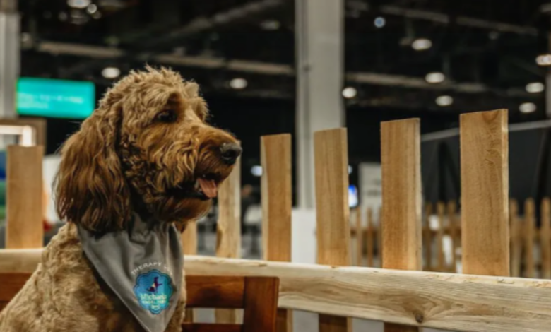 Image Credit: Michael's Angel Paws
