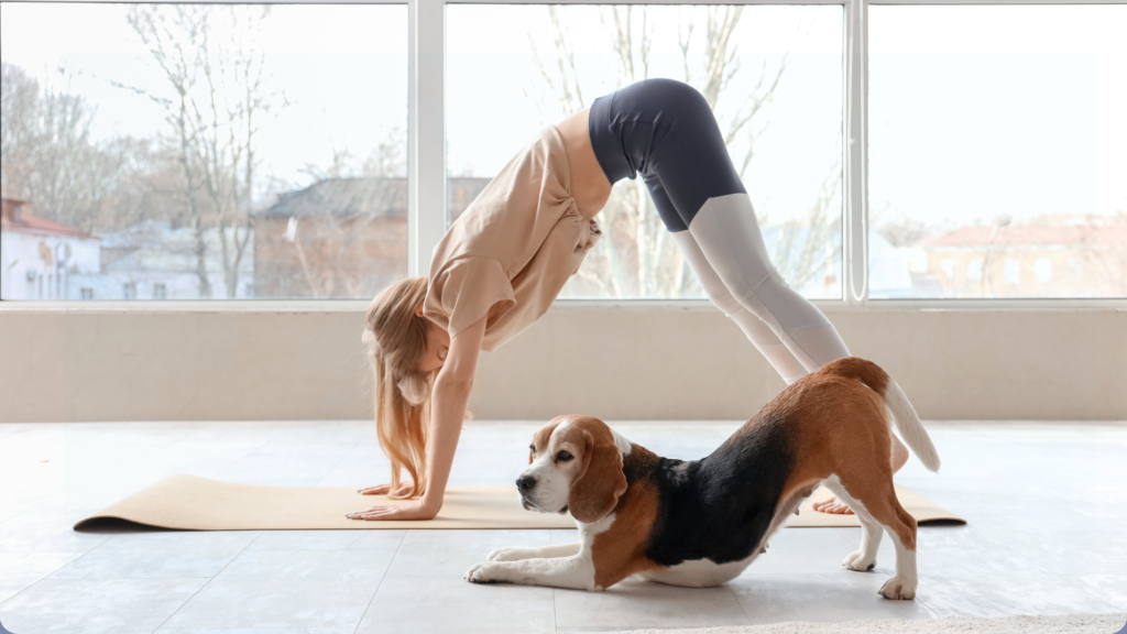 Poses For Paws