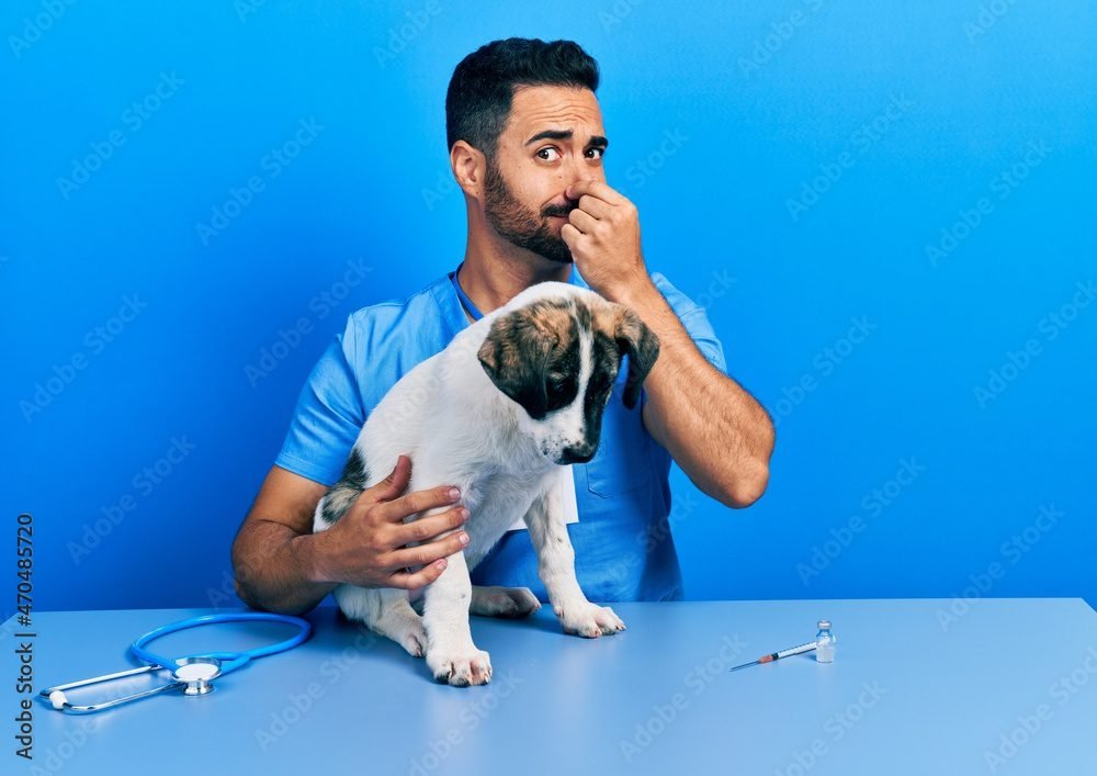 Handsome hispanic veterinary man with beard checking dog health smelling something stinky and disgusting, intolerable smell, holding breath with fingers on nose. bad smell