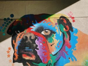 Paint Your Pet Night