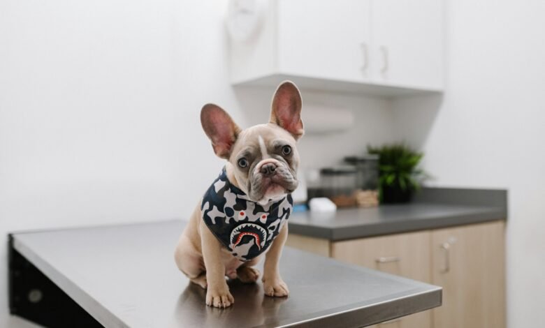 Check up Appointment 

@OurBudSpud