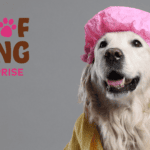 Woof Gang Bakery & Grooming - Enterprise