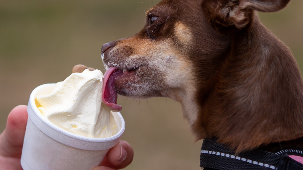 Paws & Scoops Social