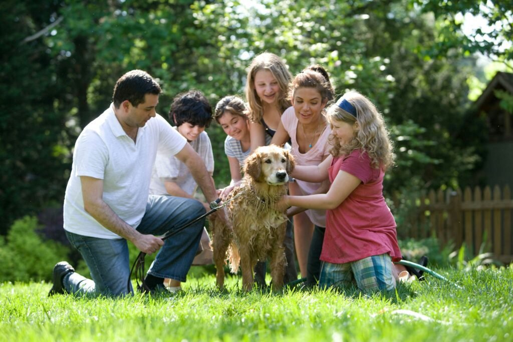 VPRP Adoption Event