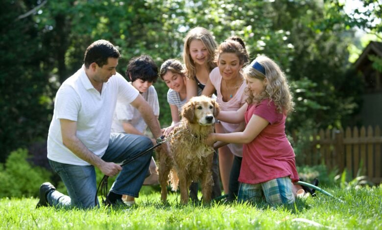 Keeping your furry pets healthy includes keeping them clean, as well. Together, this family was in the process of washing their Labrador retriever outside in the fresh air. With help from two neighbor girls, the mother, young daughter, and son, were all soaping down the dog’s coat, while the father was steadying the pet using a leash and his hand.