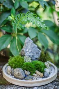 Moss N' Sip Fundraiser
