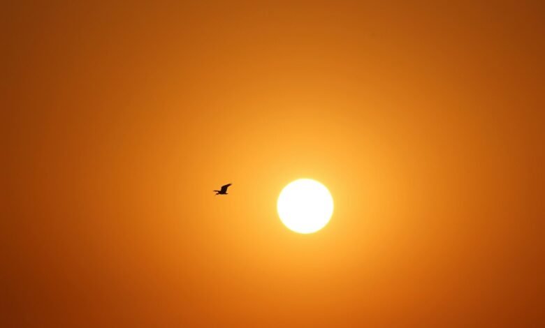 airplane flying during golden hour