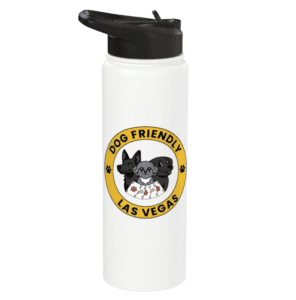DFLV Insulated Water Bottle