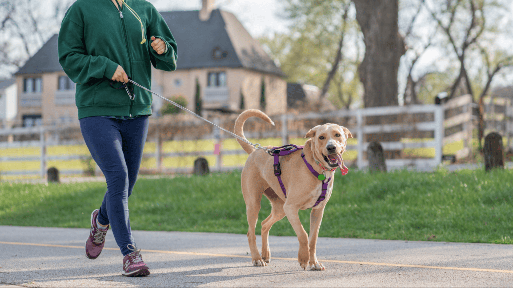 21st Annual Battle of the Rattle 5K