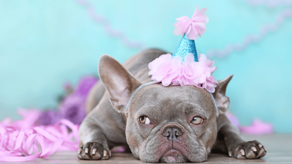 Vegas Roots Rescues 7th Birthday Yoga Paw-Ty