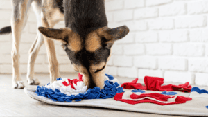 Crafts and Canines