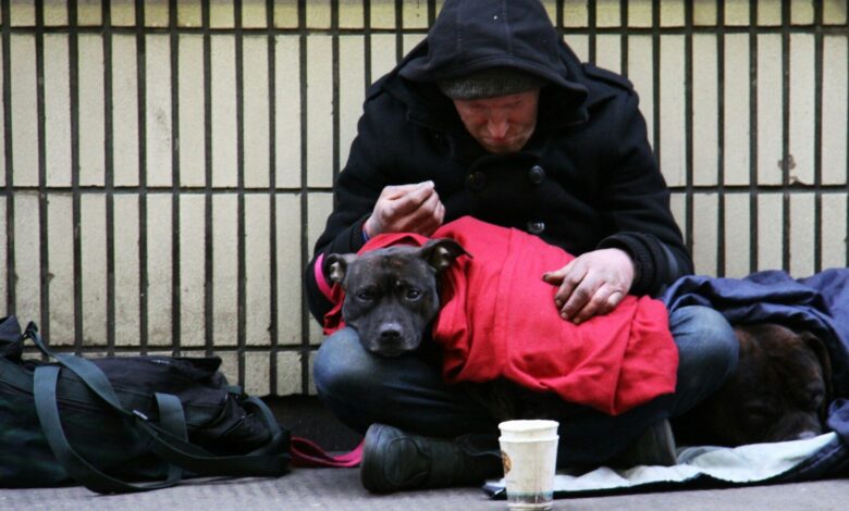 dog on top of person's lap while sitting on ground at daytime