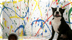 Big Mess. Little Paws Adoption