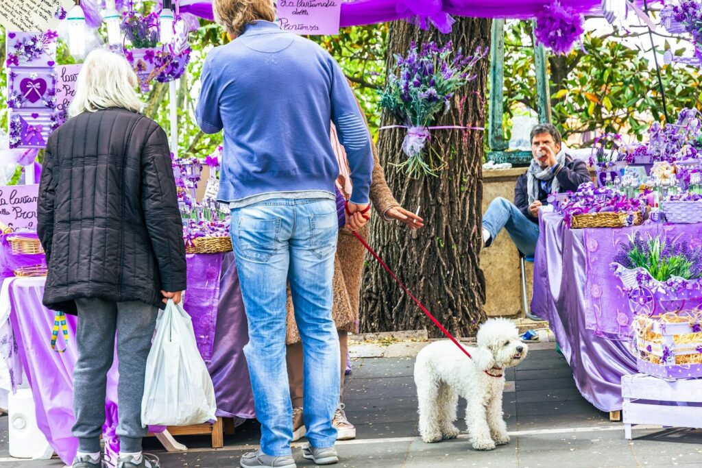 Pet Market Unleashed