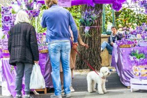 Pet Market Unleashed