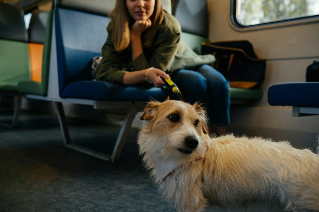Low-Cost Microchip Clinic – Fernley