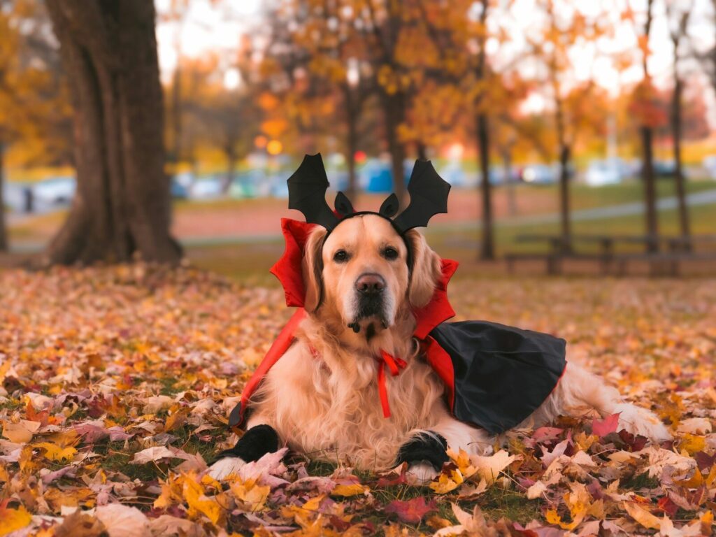 Otonomus’ Halloween Town 2 Day Event