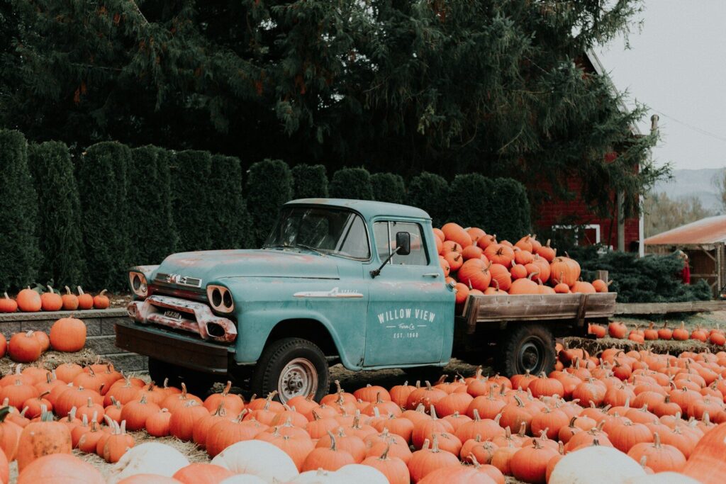 Great Pumpkin Festival