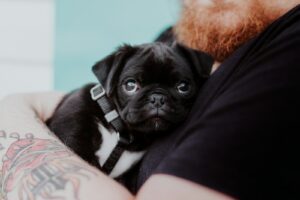 Ink for a Cause