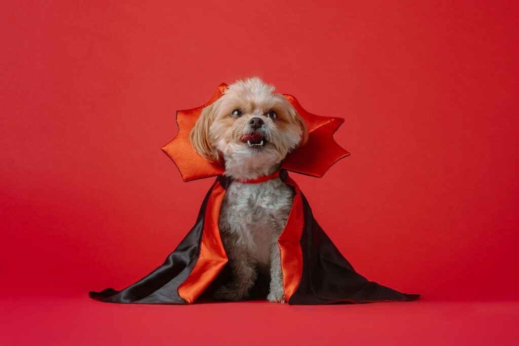 Howl-o-ween – Reno