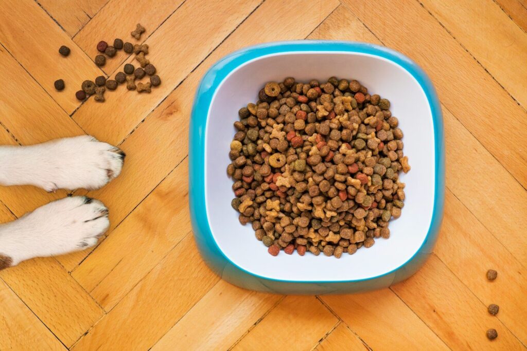 Pet Resource Day