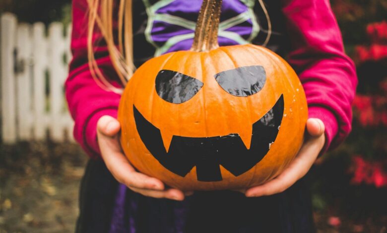 selective focus photography of person holding pumpkin