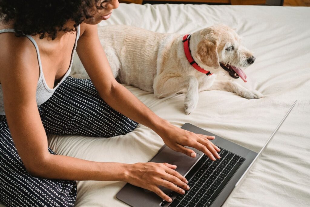 From above of crop thoughtful African American female typing on netbook and sitting on bed near calm small dog at home