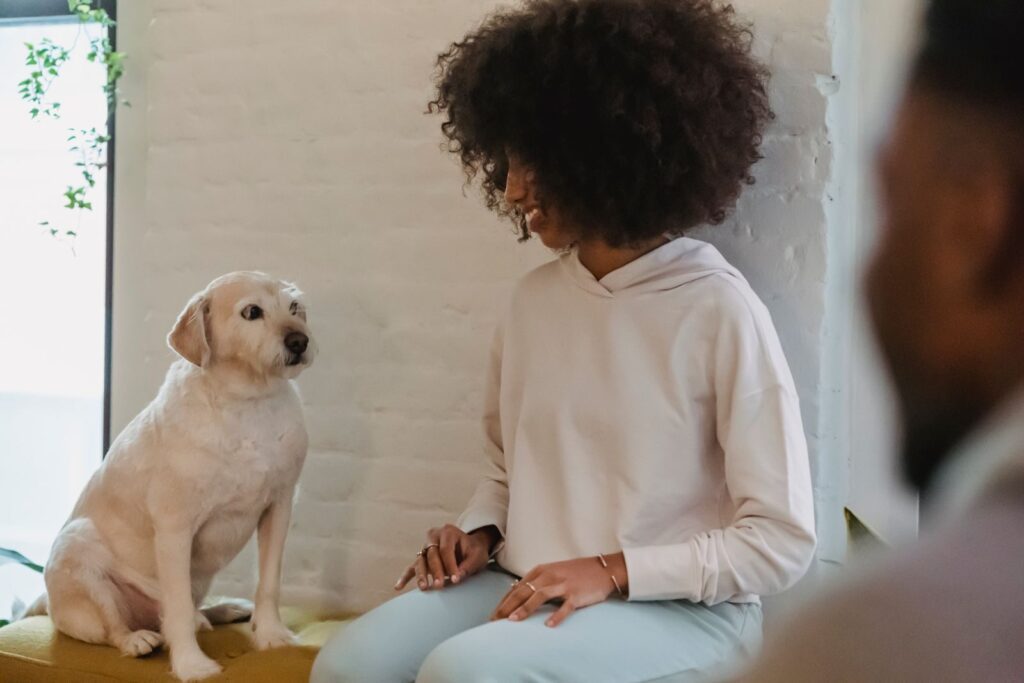 The Truth About Cats & Dogs Seminars