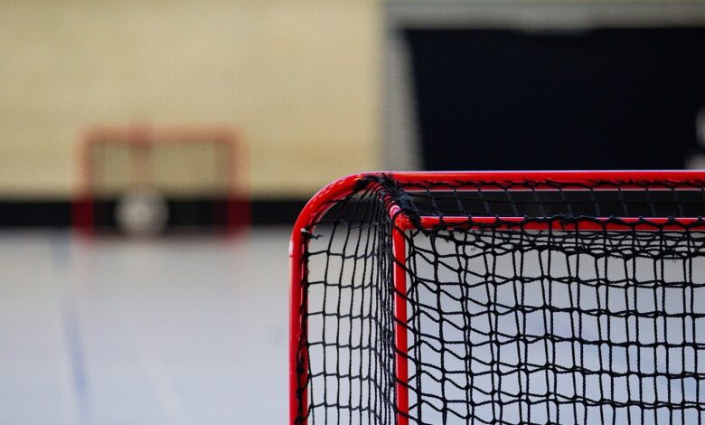 hockey, goal, net, sport, match, indoors