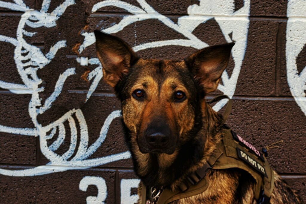 a dog sitting on a brick floor